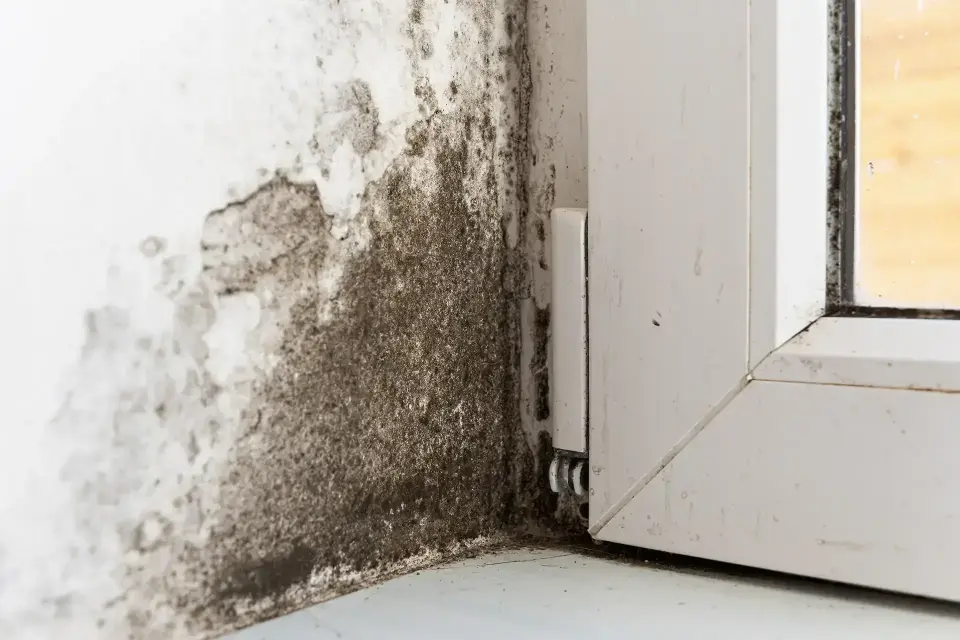 Centerville's Trusted Restoration Specialists — Centerville, UT
